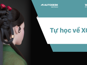 Tự học về XGen? Hãy tham khảo các kênh sau nhé!